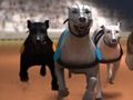 Igra Greyhound Racing spletu