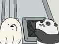 Igra Baby Bear Bonanza spletu
