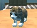 Igra Mačja simulator: Kitty Craft! spletu