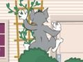 Igra Tom und Jerry: Wasserbomben wahnsinn spletu