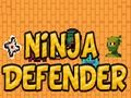 Igra Ninja branilec spletu