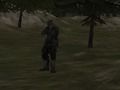 Igra FPS agencija: gozd  spletu