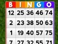 Igra Bingo spletu