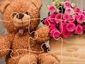 Igra Teddy medved sestavljanke spletu