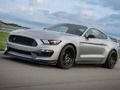 Igra Uganka Mustang Shelby spletu