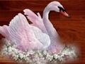Igra Love Birds sestavljanke spletu