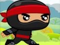 Igra Ninja spletu