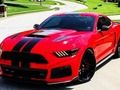 Igra Fancy Mustang razlike  spletu