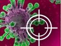 Igra Uniči virus  spletu