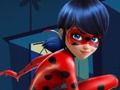 Igra Ladybug skriva spletu