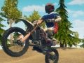Igra Dirt Bike Enduro Racing spletu