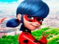 Igra Zbirka sestavljanke LadyBug  spletu