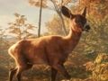 Igra SAFARI JEEP MARKIRANJE SIM: Jungle Adventure spletu