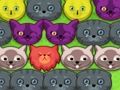Igra Pop-pop mucke  spletu