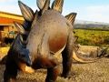 Igra Sestavljanka dinozavrov Stegosaurus  spletu