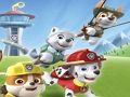 Igra Paw Patrol Barvanje  spletu