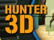 Igra Hunter 3d spletu
