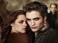 Igra Zbirka sestavljank Twilight  spletu