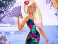Igra Bikini obleko gor  spletu