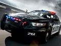 Igra Barvanje policijskih avtomobilov  spletu