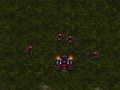 Igra Starcraft 3  spletu