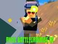 Igra Pixel Battlegrounds. IO  spletu