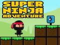 Igra Super Adventure Ninja spletu