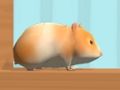 Igra Hamster Maze na spletu  spletu