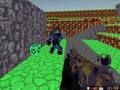 Igra Blocky Wars Advanced Combat Swat igra za več igralcev  spletu
