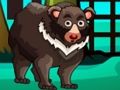 Igra Bear Bear  spletu