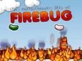 Igra Firebug spletu
