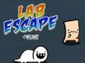 Igra Lab Escape Online spletu