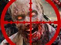 Igra Strelec mrtvega mestnega zombija spletu