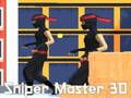 Igra Sniper Master 3D spletu