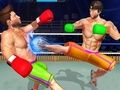 Igra Bodybuilder Ring Fighting Club Wrestling spletu
