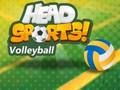 Igra Head Sports Odbojka  spletu