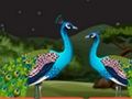 Igra Parrot Parrot Escape  spletu