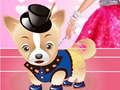 Igra Barbie's Dog DressUp spletu