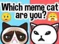 Igra Kateri Meme Cat si ti?  spletu