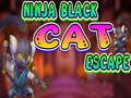Igra Ninja Black Cat Pobeg  spletu