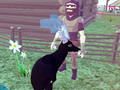 Igra Jeleni simulator 3D spletu