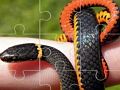 Igra Kače Puzzle  spletu