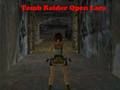 Igra Tomb Raider Open Lara spletu