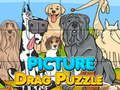 Igra Slika Drag Puzzle  spletu