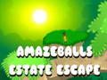 Igra Amaseballs Estate Escape spletu