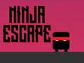 Igra Ninja pobeg  spletu