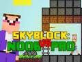 Igra Noob proti Pro Skyblock  spletu