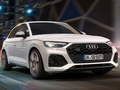 Igra Audi sq5 TDI SLIDE spletu