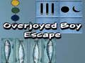 Igra Presrečni Boy Escape  spletu