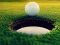 Igra Golf mojstri!  spletu